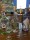 IMG_8154